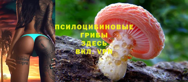 Псилоцибиновые грибы Magic Shrooms  Берёзовский 